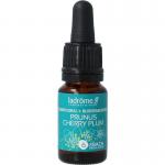Cherry plum bio