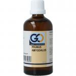 GO prunus amygdalus bio