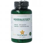 minerals/chelaten min complex