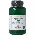 liposomaal ijzer sterk