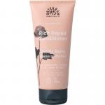Nordic berry conditioner...