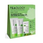Matcha repair hair care kit