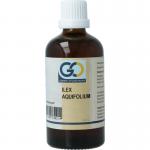 GO ilex aquifolium bio