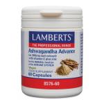 ashwagandha advance /l8576-60