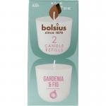 Clean light gardenia & fig...