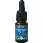 Bloemenessence Larch bio