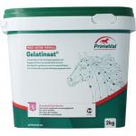 Primeval gelatinaat paard