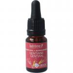 gentian bio