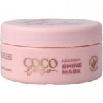Coco loco & agave shine mask