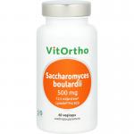 Saccharomyces boulardii 500mg
