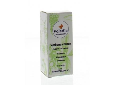 Verbena verveine citroen