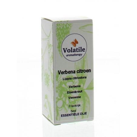 Verbena verveine citroen