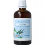Valeriana officinalis...