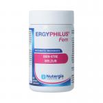 Ergyphilus fem