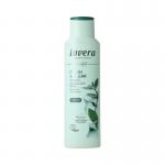 Shampoo Fresh & Clear
