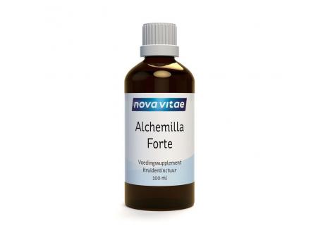 Alchemilla forte