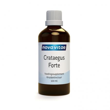 Crataegus forte