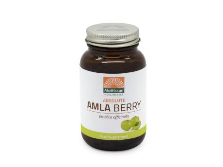 Absolute amla berry extract 500mg