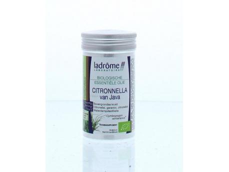 Citronella