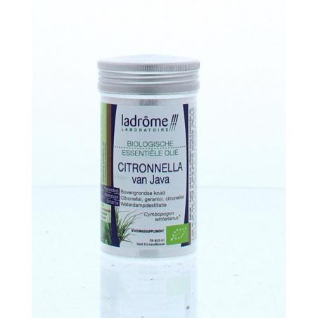 Citronella