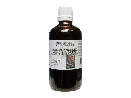 Echinacea purpurea herb&rad / rode zonnehoed