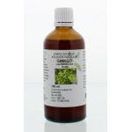 Ginkgo biloba fol / Japanse tempelboom