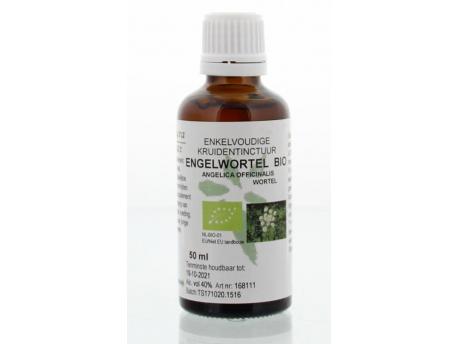 Angelica officinalis / engelwortel