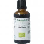 Salvia officinalis fol / salie