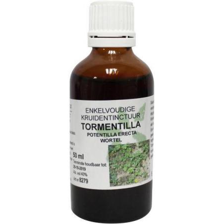 Potentilla erecta r / tormentilla