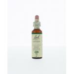 Centaury / duizendgulden