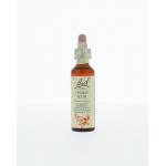 Cherry plum / kerspruim