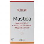 Mastica