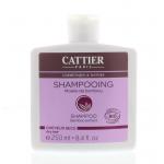 Shampoo droog haar bamboe