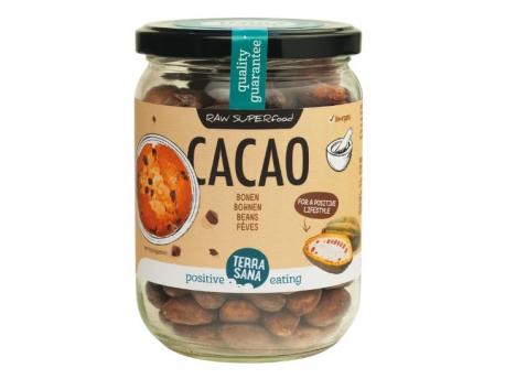 Raw cacao bonen in glas