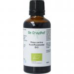 Rosa canina / rozebottel tinctuur