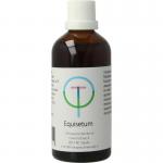 Equisetum arvense heermoes