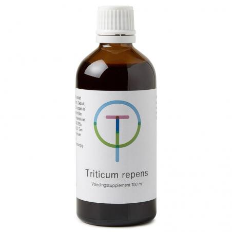 Triticum repens