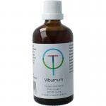 Viburnum prunufolium