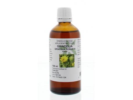 Grindelia robusta / grindel