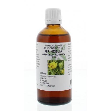 Grindelia robusta / grindel