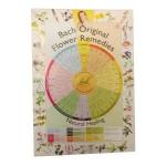 Bach remedies poster A2