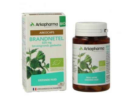 Brandnetel