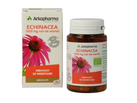 Echinacea