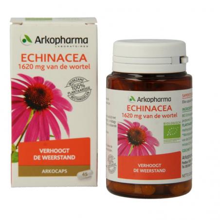 Echinacea