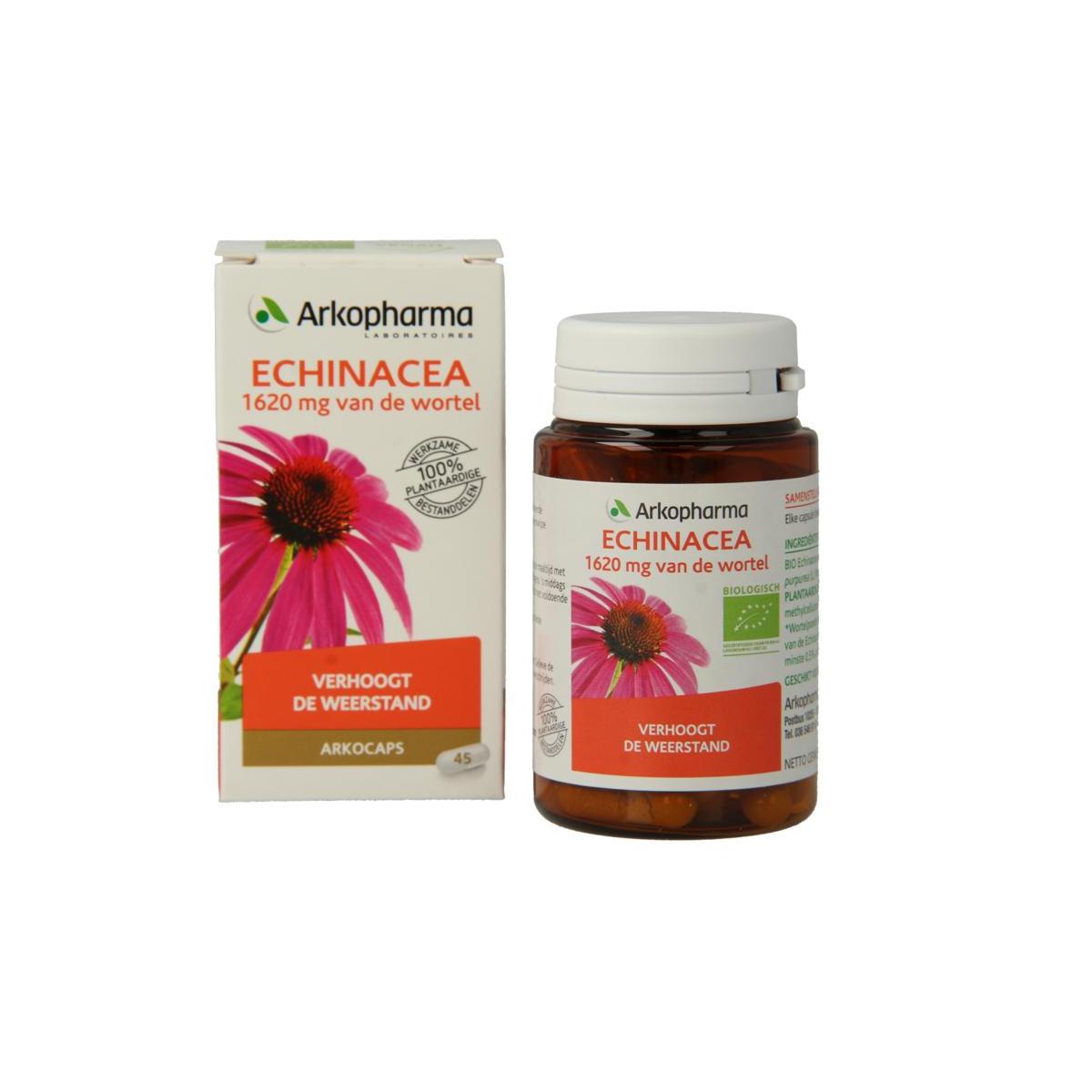 Echinacea