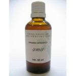 Zingiber officinalis rhiz / gember