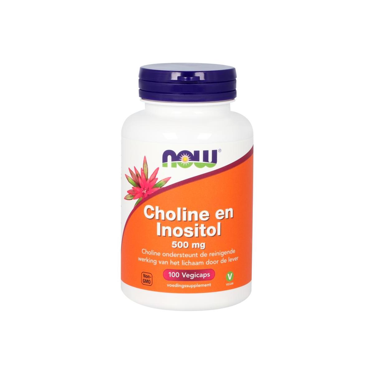 Choline en inositol 500mg