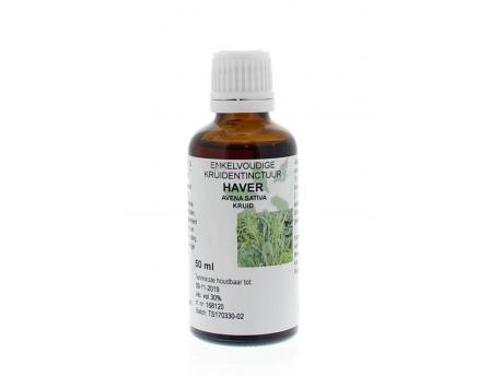 Avena sativa herb / haver