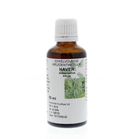 Avena sativa herb / haver