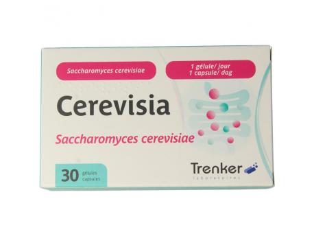 Cerevisia